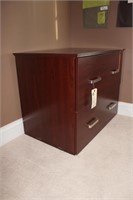 File Cabinet and Book Case
