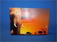 19-1/2"x27-1/2" Elephant picture