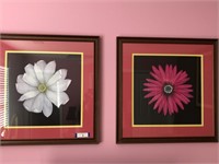 Pair of Custom framed & matted floral prints