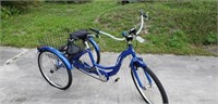 Schwinn 3 Wheel Bike Meridian Blue