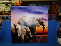 47" Elephant picture