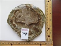 PETRIFIED WOOD COASTER 3-5 INCHES (TAN)