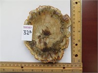 PETRIFIED WOOD COASTER 3-5 INCHES (TAN)