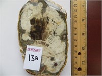 PETRIFIED WOOD COASTER 3-5 INCHES (TAN/BLACK)