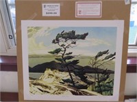 WHITE PINE PRINT BY AJ CASSON