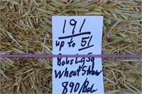 Straw-Lg. Squares-Wheat-3x4's-Canada