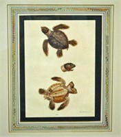 GEORGE EDWARDS HAND COLORED TURTLE ENGRAVING