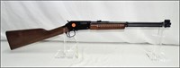 Henry - Model:Pump - .22- rifle