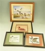 Framed print of Flying Canada Geese by James