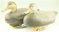 Pair of custom carved Black Duck decoys with