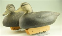 Pair of custom made black duck decoys with