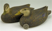 Pair of 1/3 size carved Black Ducks with raised