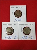 1920 Buffalo Nickel Set