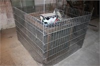 2 Cages with Heat Lamp