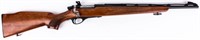 Gun Remington 600 Bolt Action Rifle in .222 REM
