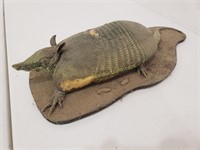 Armadillo