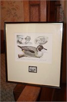 The 7th Maryland Migratory Waterfowl print