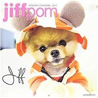 JiffPom 18 Month Calendar 2017