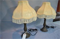 Pair Metal lights with fringe shades