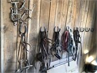 Leather bridles, headstalls, nylon