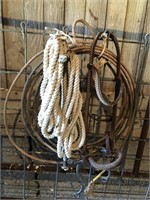 Lariet rope, headstall, poly rope