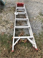 Werner 3 ft. X 10 in. Ladder (Aluminum)