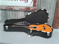 Lotus Acoustic  guitar with case