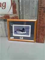 Ducks Unlimited Common Goldeneye print, framed