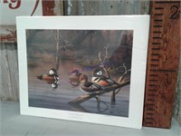 Ducks Unlimited Hooded Mergansers print, unframed