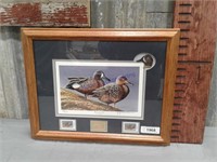 Ducks Unlimited Bluewing Teal print, framed