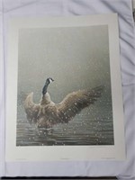 Signed Robert Bateman Stretching Goose Print