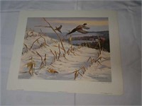 Signed Maynard Reece Winter Pheasants Print