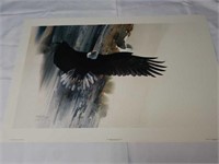 Signed Morten E. Solberg Wings of Wonder Print