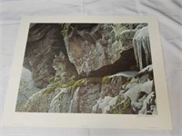 Signed Robert Bateman At The Cliff Bobcat Print