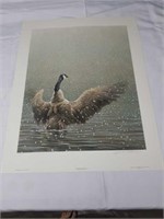 Signed Robert Bateman Stretching Goose Print