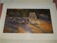Anthony Gibbs "The Great White Tiger" signed