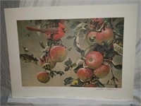 Signed Robert Bateman Cardinals & Apples Print