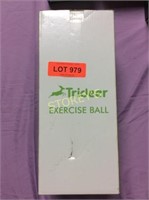 Trideer Exercise Ball Rubber Stabilizer