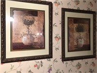 Framed Topiary Prints