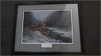 WhiteTail Deer Print by Rosemary Millette 894/1500