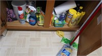 Contents of Cupboard-Cleaning Supplies