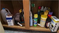 Contents of Cupboard & other Cleaning Supplies