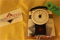 Luggage scale & pillow