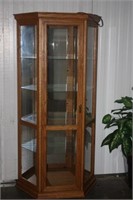 Beautiful Lighted Display Cabinet 36 x 15 x 73.5H