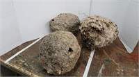 3 Lg. Hornet's Nests