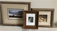 3-Framed Prints (Chicken,Elk, Mountains)