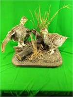 2 Grouse mount