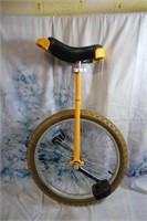 Unicycle