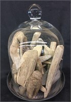 Interesting Collection of Driftwood