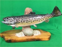 Brown Trout Mounted On Wood Plaque